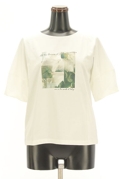 anySiS（エニィスィス）の古着「ボタニカル柄ピクチャープリントTシャツ（Ｔシャツ）」大画像１へ