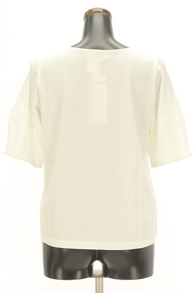 anySiS（エニィスィス）の古着「ボタニカル柄ピクチャープリントTシャツ（Ｔシャツ）」大画像２へ