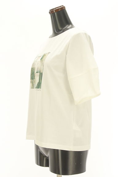 anySiS（エニィスィス）の古着「ボタニカル柄ピクチャープリントTシャツ（Ｔシャツ）」大画像３へ