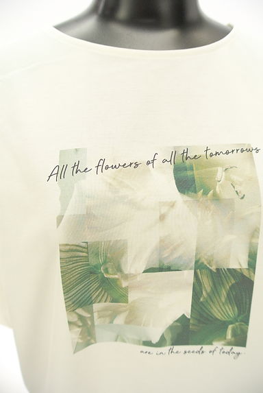 anySiS（エニィスィス）の古着「ボタニカル柄ピクチャープリントTシャツ（Ｔシャツ）」大画像４へ