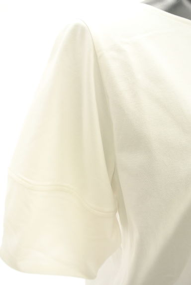 anySiS（エニィスィス）の古着「ボタニカル柄ピクチャープリントTシャツ（Ｔシャツ）」大画像５へ