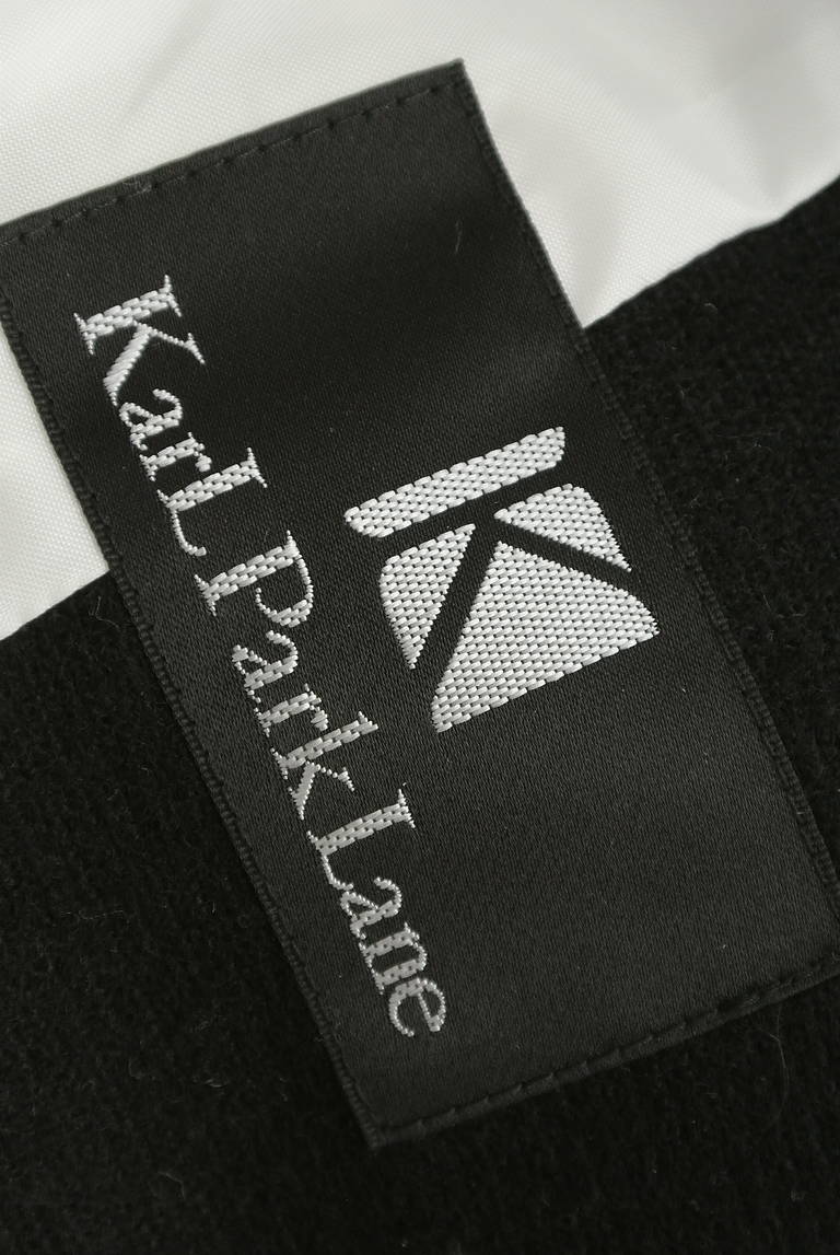 KarL Park Lane（カールパークレーン）の古着「商品番号：PR10283102」-大画像6