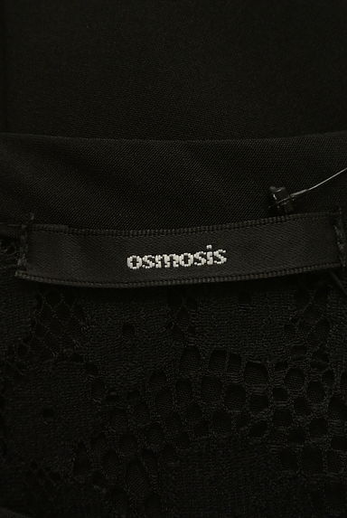 OSMOSIS（オズモーシス）の古着「ラウンドヘムフロントレースブラウス（カットソー・プルオーバー）」大画像６へ
