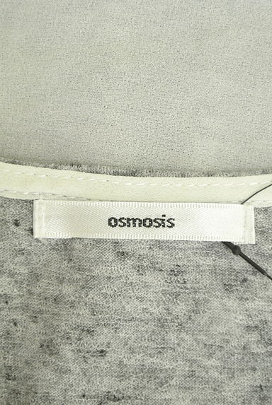 OSMOSIS（オズモーシス）の古着「シフォン切替ラグランプルオーバー（カットソー・プルオーバー）」大画像６へ