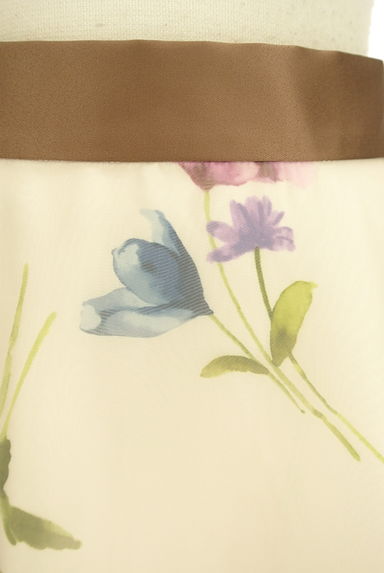 LAISSE PASSE（レッセパッセ）の古着「揺らめくシアー花柄フレアロングスカート（ロングスカート・マキシスカート）」大画像４へ