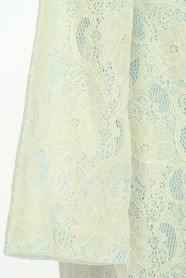 Couture Brooch（クチュールブローチ）の古着「メッシュ＋花柄レース膝上ワンピース（ワンピース・チュニック）」大画像５へ