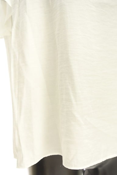 JILL by JILLSTUART（ジルバイジルスチュアート）の古着「肩レースフリル袖カットソー（カットソー・プルオーバー）」大画像５へ