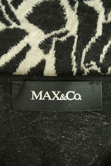 MAX&Co.（マックス＆コー）の古着「フラワーバックダブルファスナーワンピ（ワンピース・チュニック）」大画像６へ