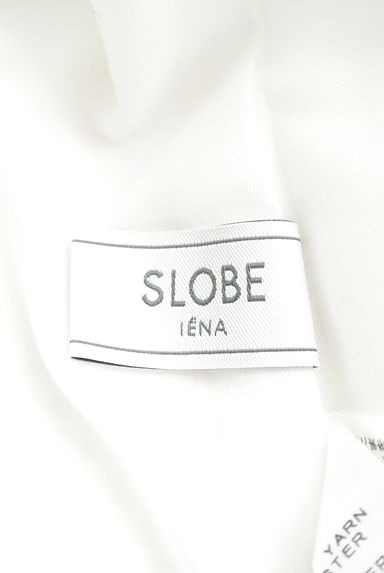 SLOBE IENA（スローブイエナ）の古着「刺繍レース綿混ロングスカート（ロングスカート・マキシスカート）」大画像６へ