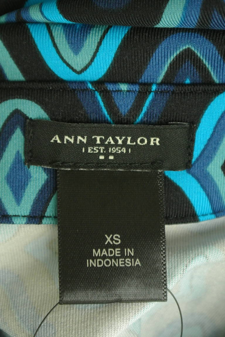 ANN TAYLOR（アンテイラー）の古着「商品番号：PR10286962」-大画像6