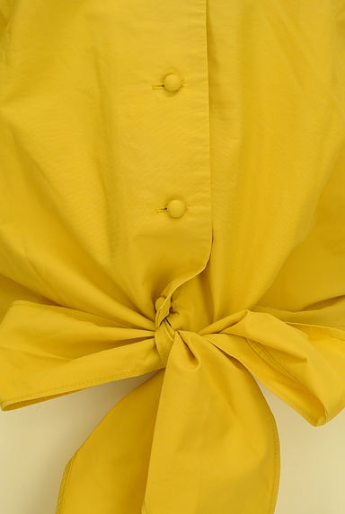 WILLSELECTION（ウィルセレクション）の古着「ボリューム袖刺繍ショート丈ブラウス（カットソー・プルオーバー）」大画像４へ