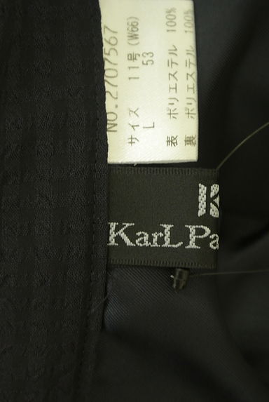 KarL Park Lane（カールパークレーン）の古着「ギンガムチェックシフォンミニスカート（スカート）」大画像６へ