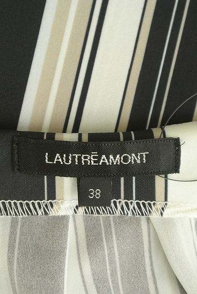 LAUTREAMONT（ロートレアモン）の古着「ふんわり五分袖ストライププルオーバー（カットソー・プルオーバー）」大画像６へ