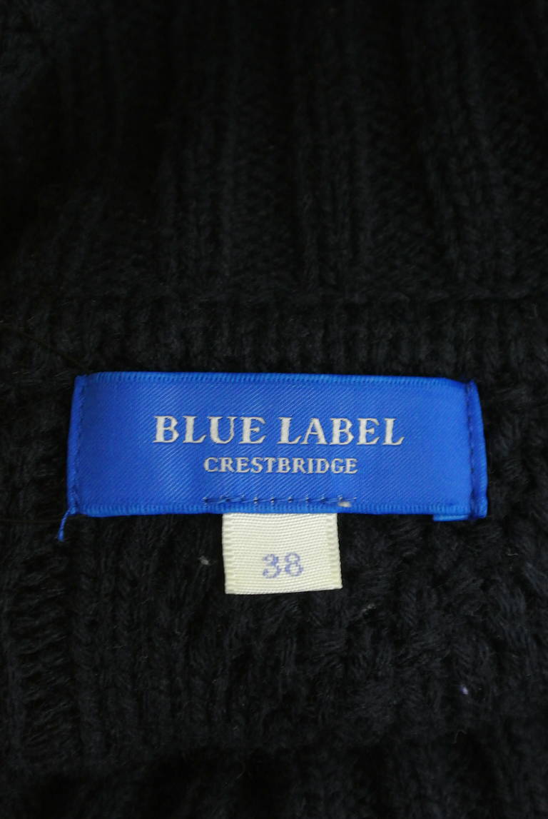 BLUE LABEL CRESTBRIDGE（ブルーレーベル・クレストブリッジ）の古着「商品番号：PR10287348」-大画像6