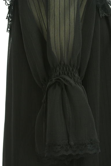 axes femme（アクシーズファム）の古着「刺繍チュール襟シフォンプルオーバー（カットソー・プルオーバー）」大画像５へ