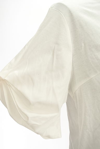 LUI CHANTANT（ルイシャンタン）の古着「ふんわりタック袖プルオーバー（カットソー・プルオーバー）」大画像４へ