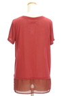 Hollister Co.（ホリスター）の古着「Ｔシャツ」後ろ
