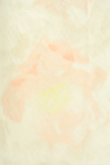 WILLSELECTION（ウィルセレクション）の古着「レース＋花柄シアーミニスカート（スカート）」大画像５へ