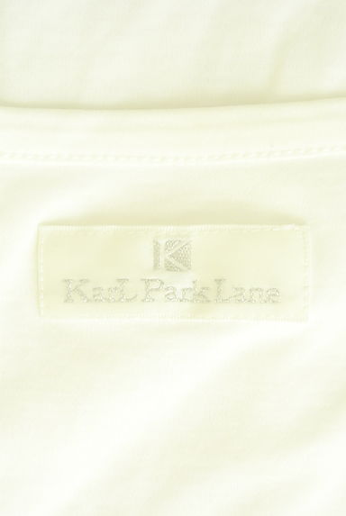 KarL Park Lane（カールパークレーン）の古着「レース切替カットソー（カットソー・プルオーバー）」大画像６へ