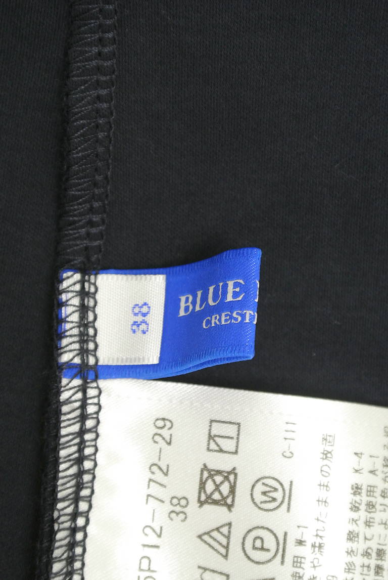 BLUE LABEL CRESTBRIDGE（ブルーレーベル・クレストブリッジ）の古着「商品番号：PR10288584」-大画像6