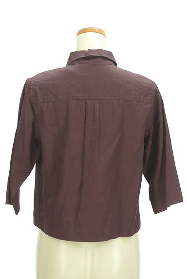 IENA（イエナ）の古着「7分袖クロップドシャツ（カットソー・プルオーバー）」大画像２へ