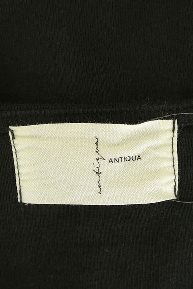 antiqua（アンティカ）の古着「Vネックラウンドヘムカットソー（カットソー・プルオーバー）」大画像６へ