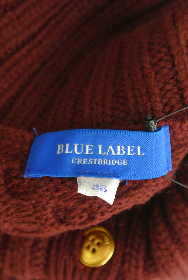 BLUE LABEL CRESTBRIDGE（ブルーレーベル・クレストブリッジ）の古着「商品番号：PR10289350」-大画像6