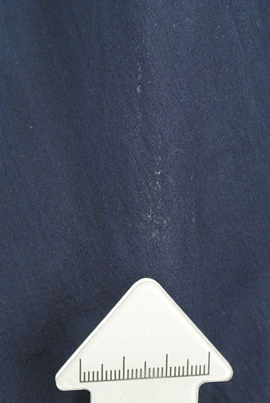 anySiS（エニィスィス）の古着「微光沢シアーロングスカート（ロングスカート・マキシスカート）」大画像５へ