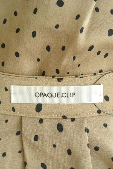 OPAQUE.CLIP（オペークドットクリップ）の古着「微光沢変形ドットブラウス（ブラウス）」大画像６へ