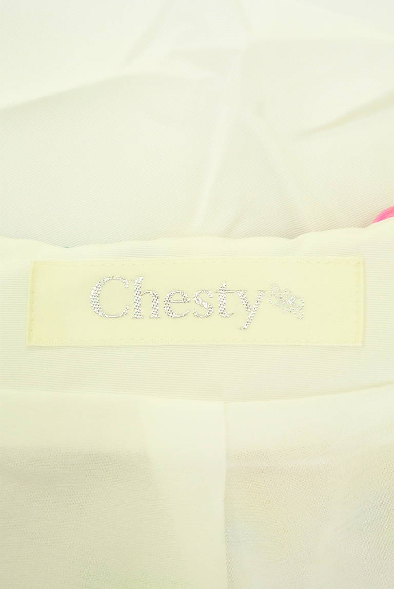Chesty（チェスティ）の古着「商品番号：PR10291318」-大画像6