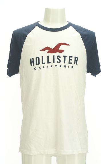 Hollister Co.（ホリスター）の古着「フロント刺繍ラグランTシャツ（Ｔシャツ）」大画像１へ