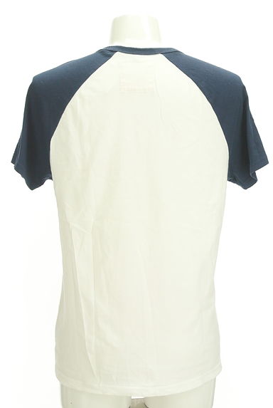 Hollister Co.（ホリスター）の古着「フロント刺繍ラグランTシャツ（Ｔシャツ）」大画像２へ