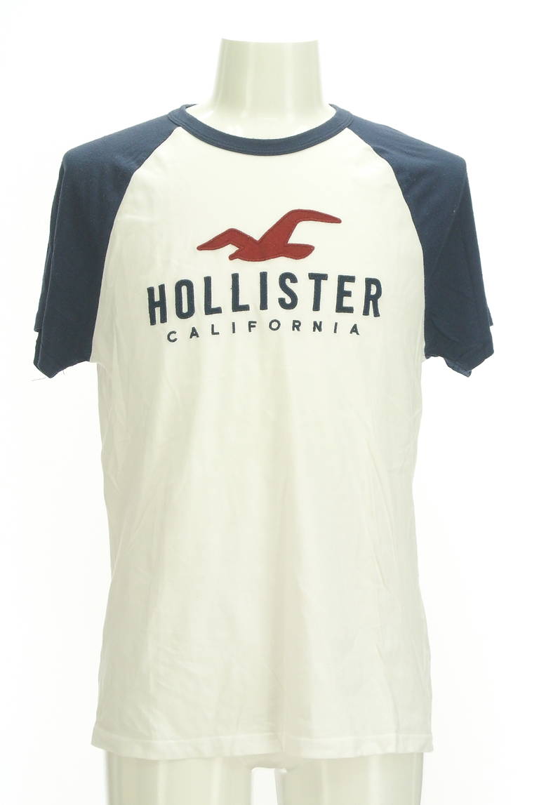 Hollister Co.（ホリスター）の古着「商品番号：PR10291661」-大画像1