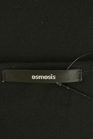 OSMOSIS（オズモーシス）の古着「フレアスリーブショートブラウス（カットソー・プルオーバー）」大画像６へ