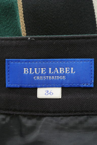 BLUE LABEL CRESTBRIDGE（ブルーレーベル・クレストブリッジ）の古着「ストライプ柄ミニフレアスカート（スカート）」大画像６へ
