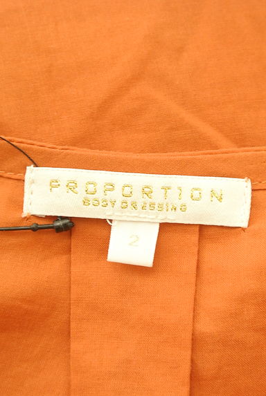 PROPORTION BODY DRESSING（プロポーションボディ ドレッシング）の古着「Ｖネックシャーリングブラウス（カットソー・プルオーバー）」大画像６へ
