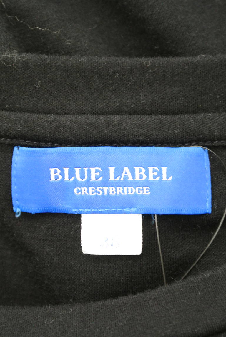 BLUE LABEL CRESTBRIDGE（ブルーレーベル・クレストブリッジ）の古着「商品番号：PR10294349」-大画像6