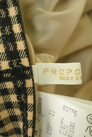 PROPORTION BODY DRESSING（プロポーションボディ ドレッシング）の古着「ギンガムチェック柄膝上フレアスカート（ミニスカート）」大画像６へ