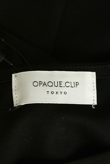 OPAQUE.CLIP（オペークドットクリップ）の古着「フリル袖カットソー（カットソー・プルオーバー）」大画像６へ