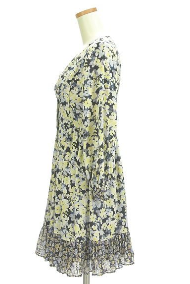 MERCURYDUO（マーキュリーデュオ）の古着「花柄シフォン膝上ワンピース（ワンピース・チュニック）」大画像３へ