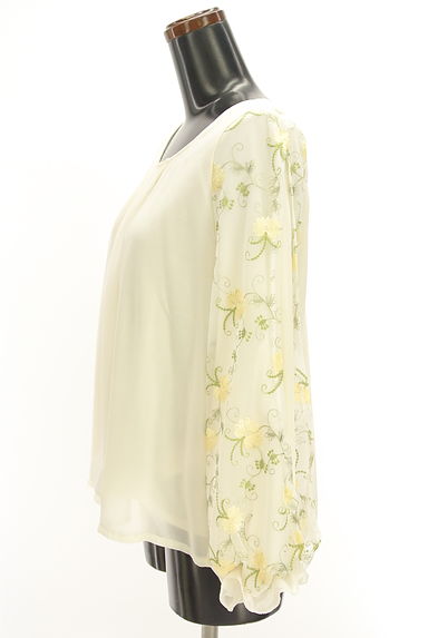 axes femme（アクシーズファム）の古着「花刺繍入りチュール袖シフォンカットソー（カットソー・プルオーバー）」大画像３へ