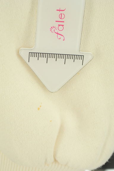 Ciaopanic（チャオパニック）の古着「裏起毛刺繍ロゴスウェット（スウェット・パーカー）」大画像５へ
