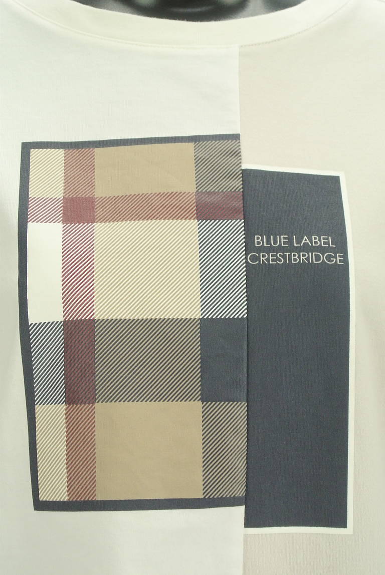 BLUE LABEL CRESTBRIDGE（ブルーレーベル・クレストブリッジ）の古着「商品番号：PR10295654」-大画像4