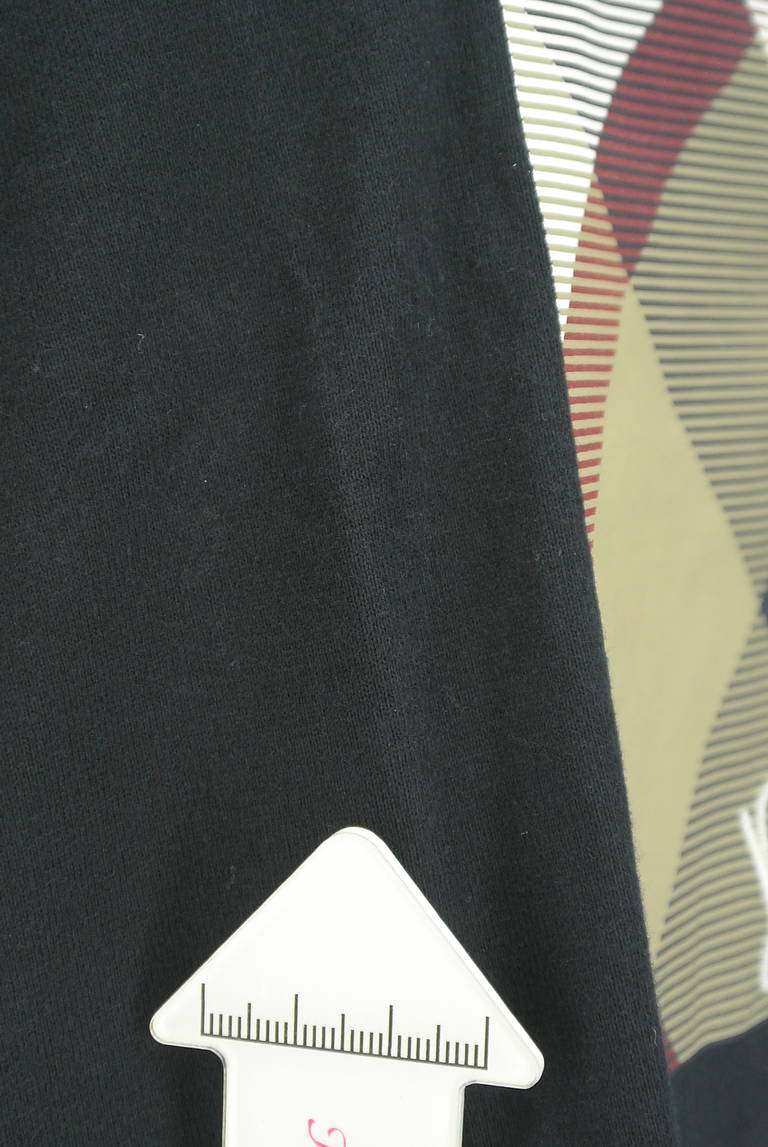 BLUE LABEL CRESTBRIDGE（ブルーレーベル・クレストブリッジ）の古着「商品番号：PR10295657」-大画像5