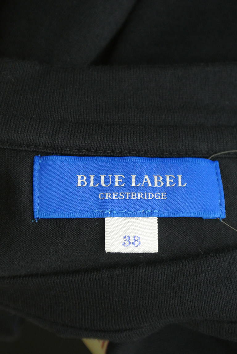BLUE LABEL CRESTBRIDGE（ブルーレーベル・クレストブリッジ）の古着「商品番号：PR10295657」-大画像6