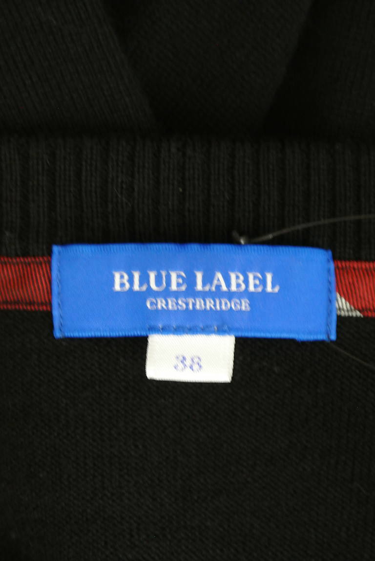 BLUE LABEL CRESTBRIDGE（ブルーレーベル・クレストブリッジ）の古着「商品番号：PR10295661」-大画像6