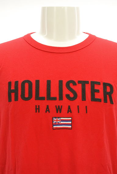 Hollister Co.（ホリスター）の古着「ロゴ刺繍Ｔシャツ（Ｔシャツ）」大画像４へ