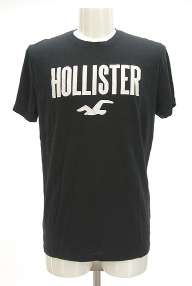 Hollister Co.（ホリスター）の古着「ロゴ刺繍Tシャツ（Ｔシャツ）」大画像１へ