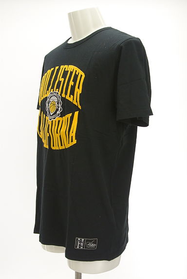 Hollister Co.（ホリスター）の古着「ワッペン風刺繍入りロゴTシャツ（Ｔシャツ）」大画像３へ