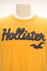 Hollister Co.（ホリスター）の古着「商品番号：PR10295833」-4